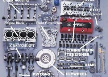 11947455_897455210346493_3172032116777625038_n